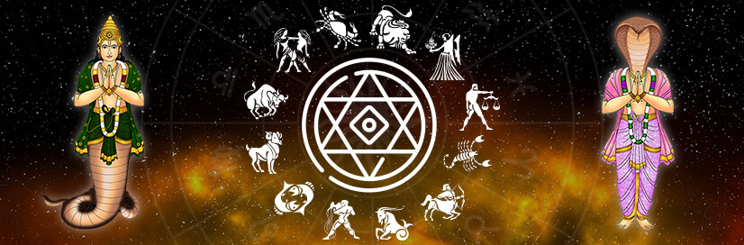 Celebrity astrologer in india | World famous Rahu